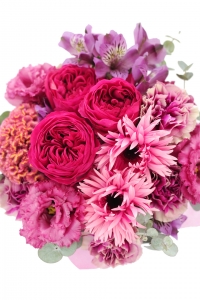 ��ξ�Ƥ䤪ͧã�Τ��������ˡ�5,500��