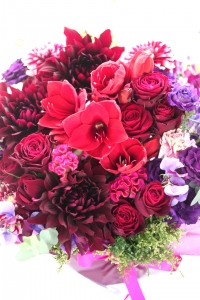 �����ŵ��ʤ����ܤΤ��ˤ��ˡ�22,000��