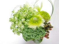 ��ͧã�γ�Ź�ˤ��ʤɡ�5,500��