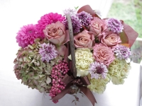 ��Ź����ڤ䤫�ˤ��ˤ����������ʤɡ�8,800��