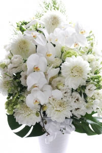 ��Ҥ���Τ�����ߤʤɡ�22,000��