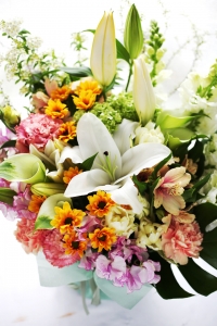 ߤˤäˤʤäؤΤߤʤɡ8,800