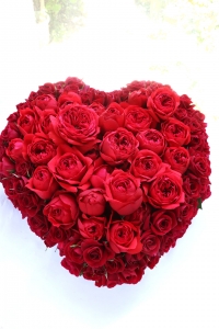 �ϡ��ȷ�����󥸡�22,000