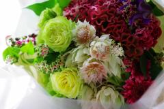 セルリアはとっても美しいお花なのです