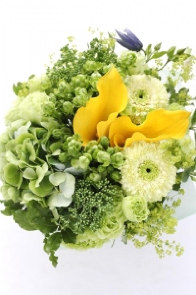 お友達や職場の方の結婚祝いなど　5,500円