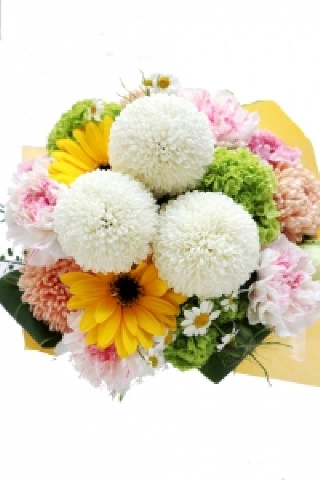 ペットへのお悔やみなど　3,850円