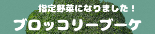 指定野菜になりました！ブロッコリーブーケ